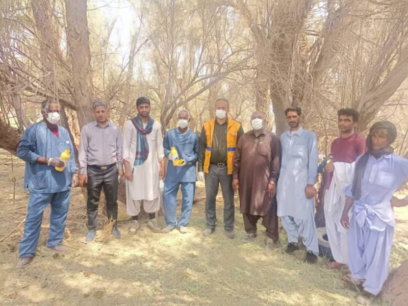 اجرای عملیات سم‌پاشی دام‌ها در شهرستان جازموریان